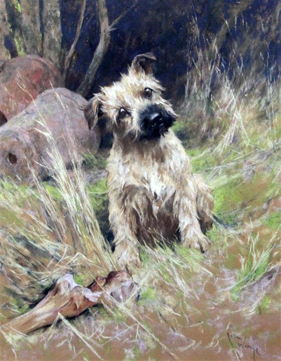 Arthur Wardle R.I., R.B.C. (1864-1949) Terrier beside a large bone 21 x 16.25in.